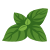 mint-50